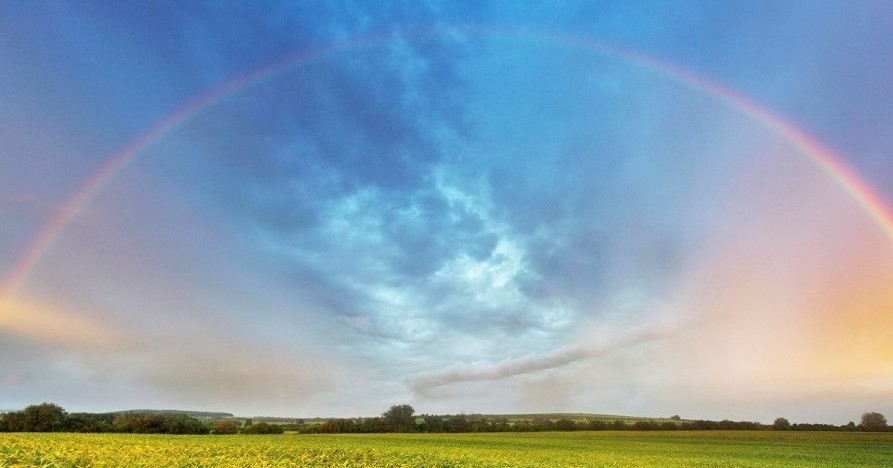 Rainbow over spring field